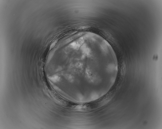 X0000115100366200911171246