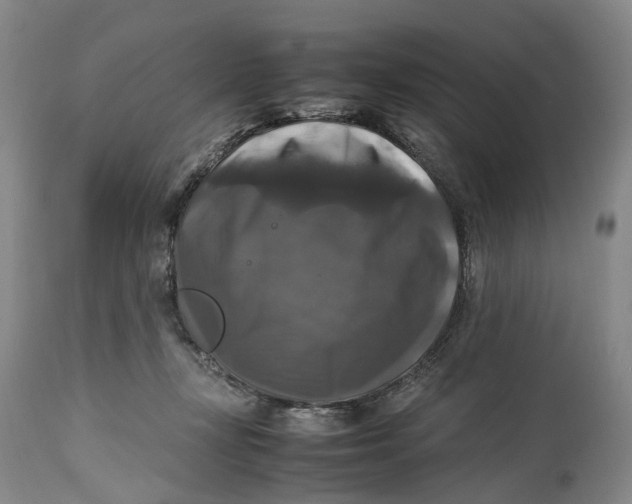 X0000115100367200911171246