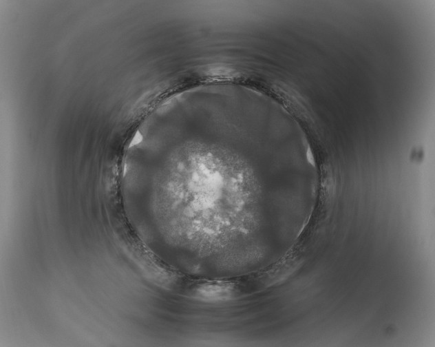 X0000115100369200911171246