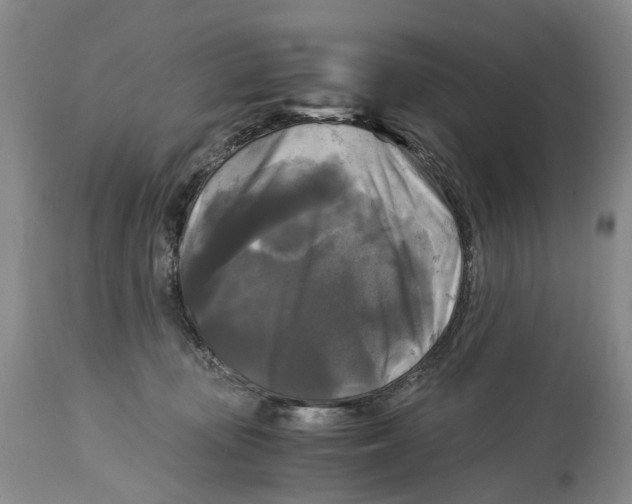 X0000115100371200911171246