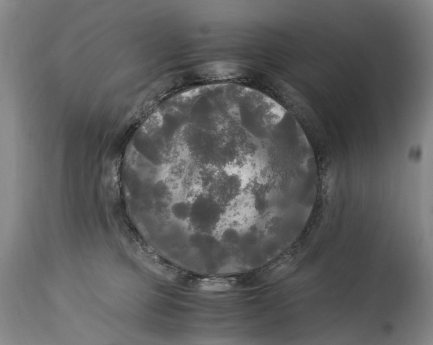 X0000115100373200911171246