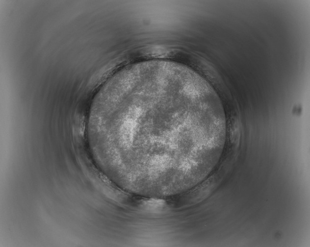 X0000115100374200911171246