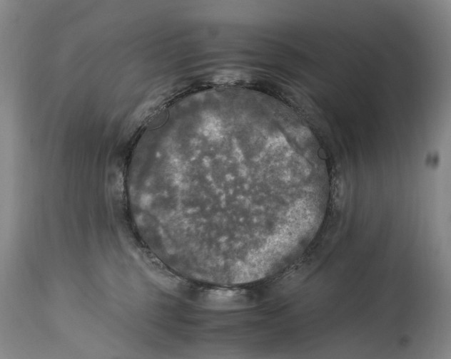 X0000115100375200911171246