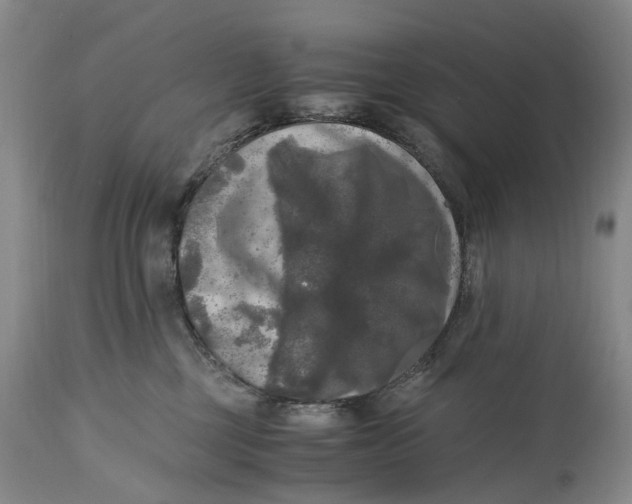 X0000115100377200911171246