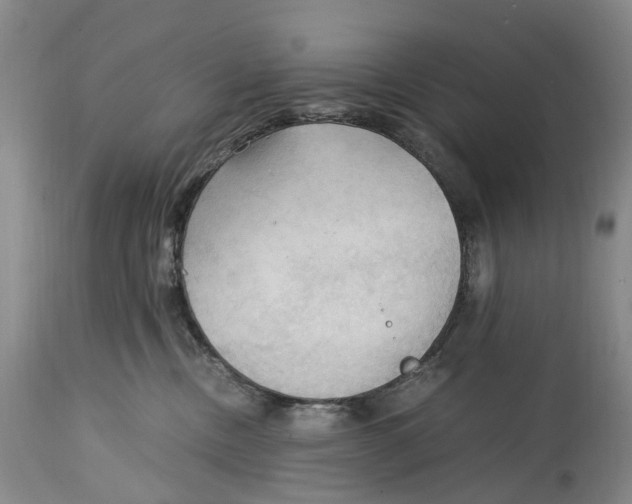 X0000115100378200911171246