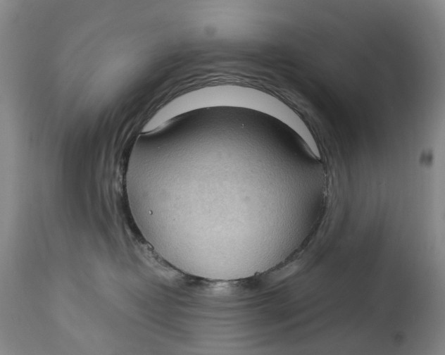 X0000115100382200911171246