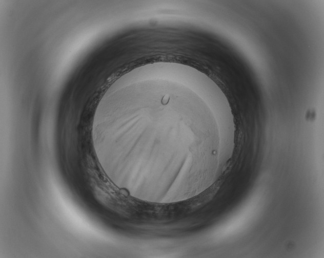 X0000115100383200911171247