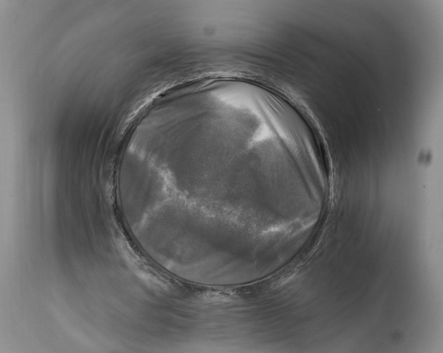 X0000115100386200911171246