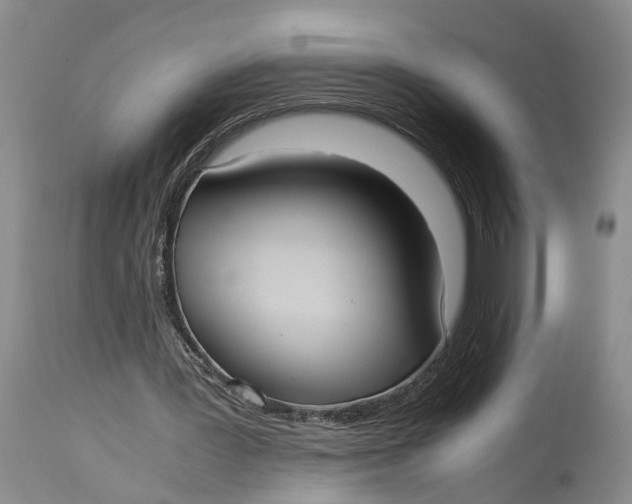 X0000115100387200911171246