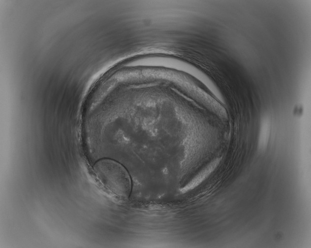 X0000115100388200911171246