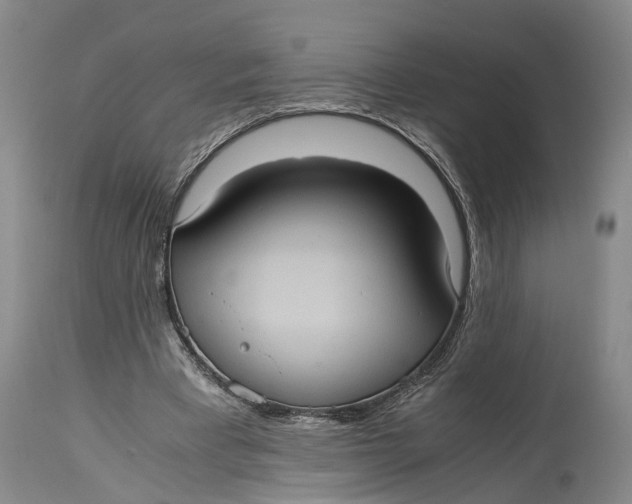 X0000115100393200911171246