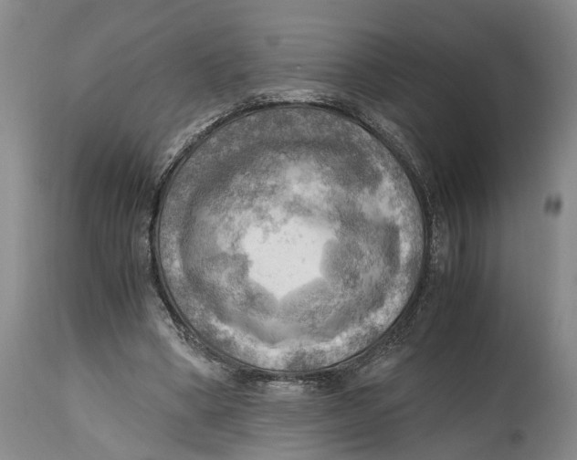 X0000115100394200911171246