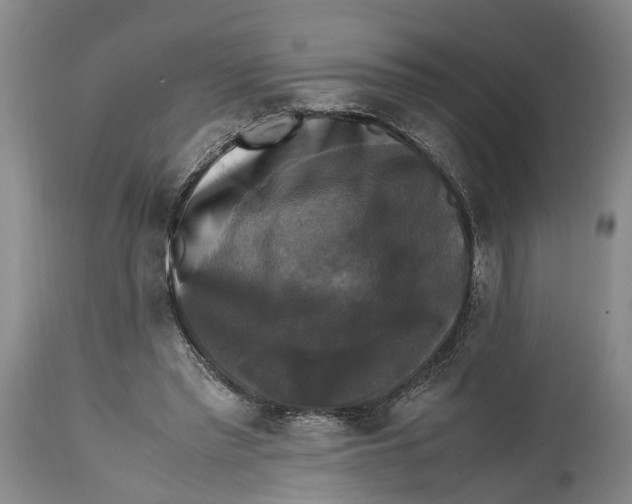 X0000115100397200911171246