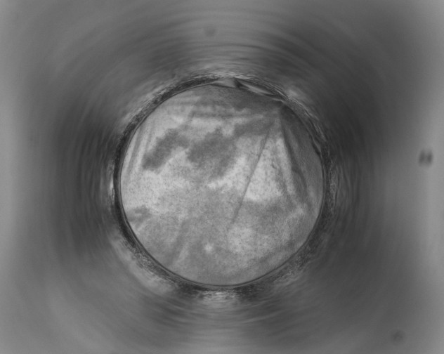 X0000115100398200911171246