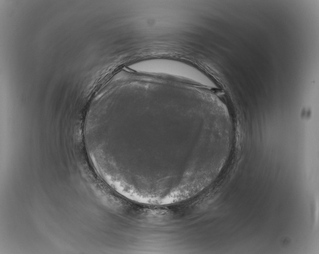 X0000115100401200911171246