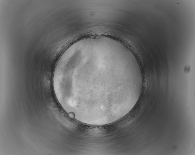 X0000115100402200911171246