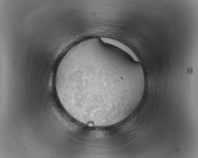 X0000115100404200911171245