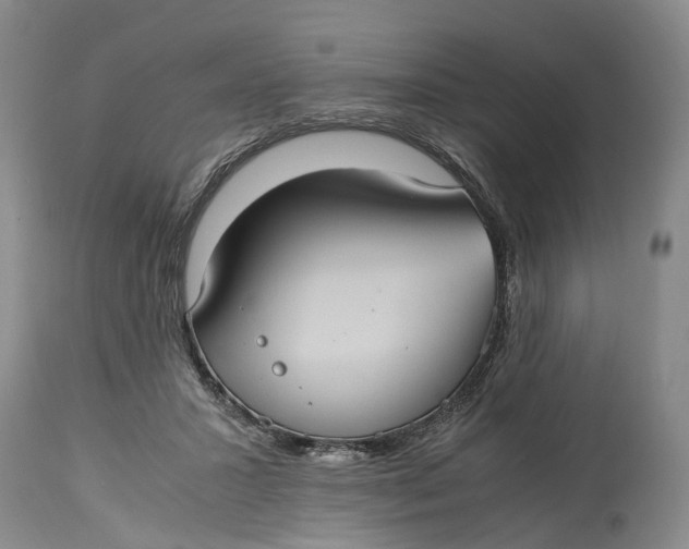 X0000115100407200911171245