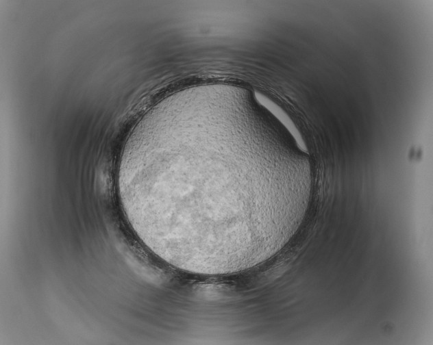 X0000115100408200911171245