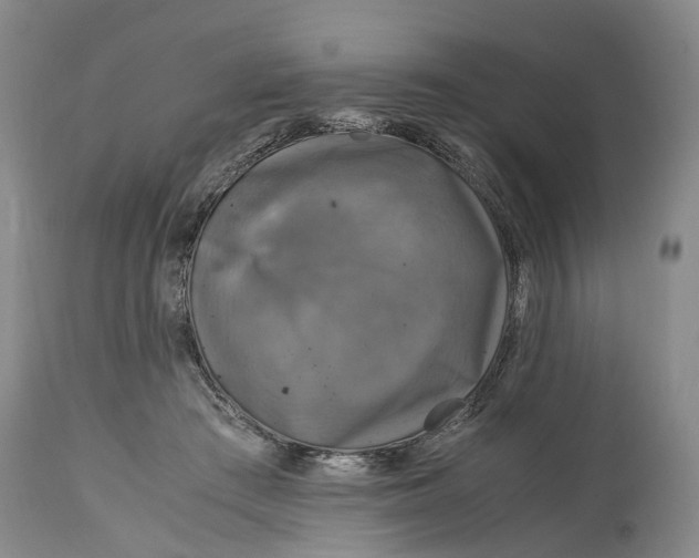 X0000115100409200911171245