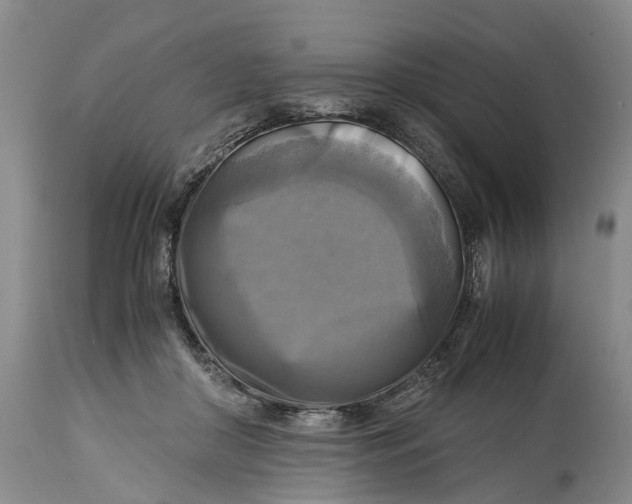 X0000115100410200911171245