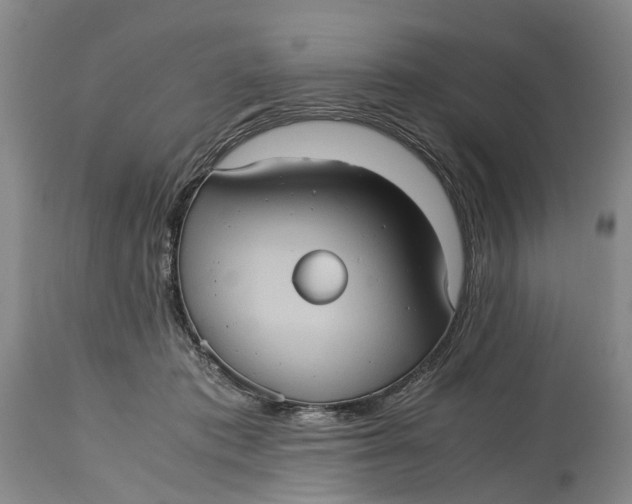 X0000115100413200911171245