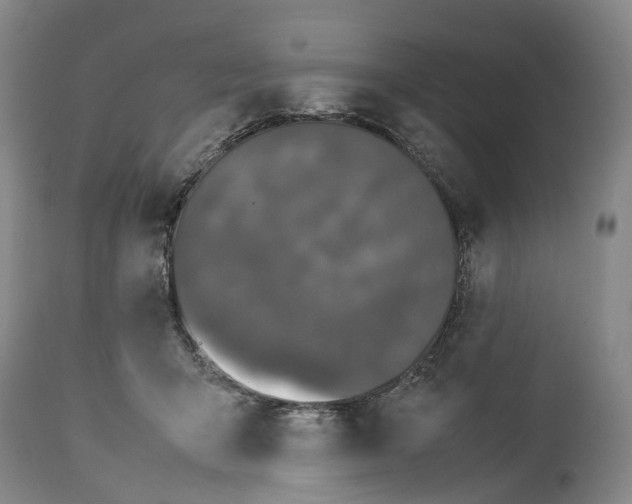 X0000115100415200911171245