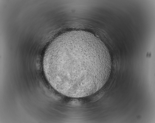 X0000115100416200911171245