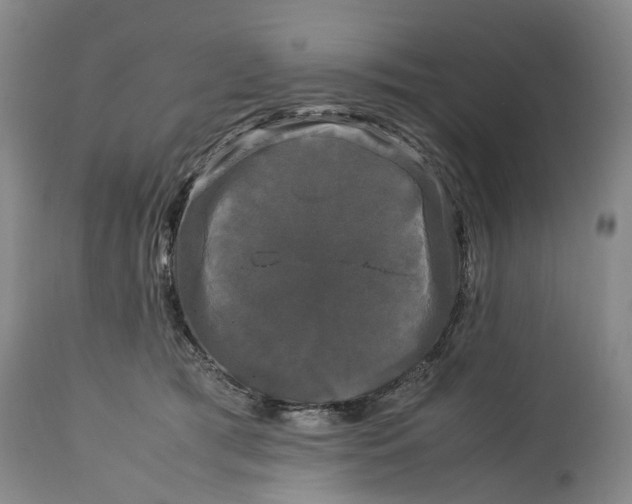 X0000115100417200911171245