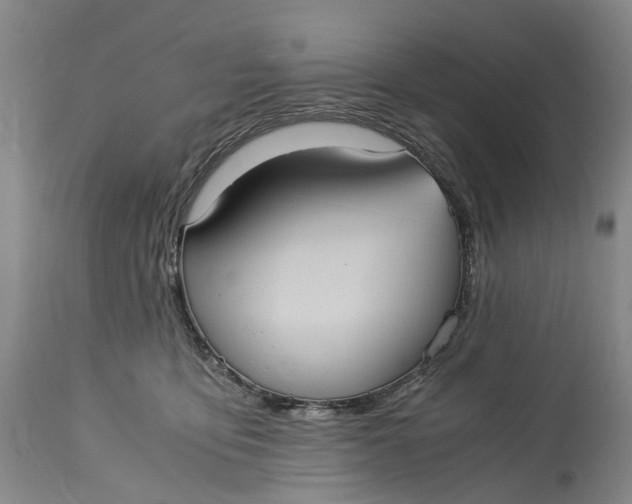 X0000115100419200911171245