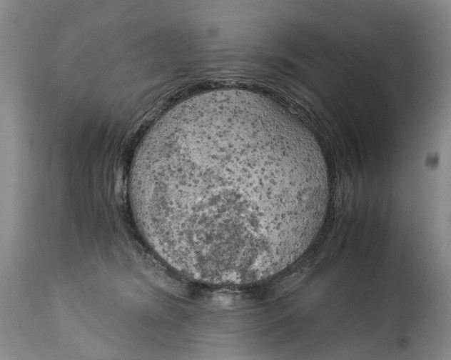 X0000115100420200911171245