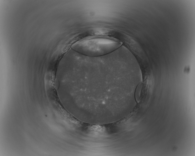 X0000115100421200911171245