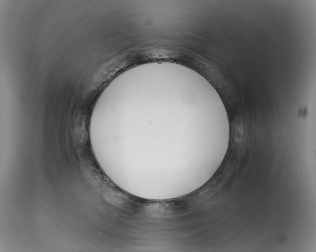 X0000115100422200911171245