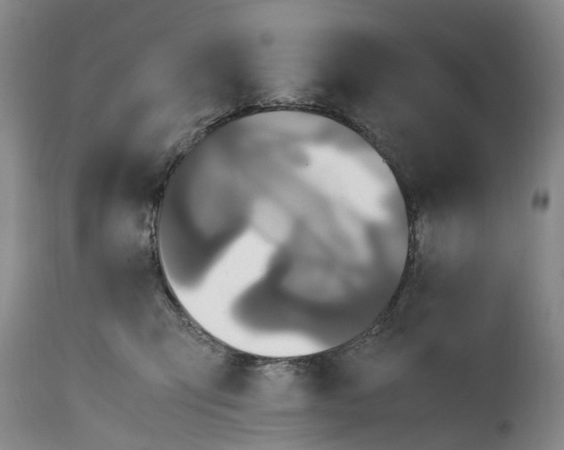 X0000115100423200911171245