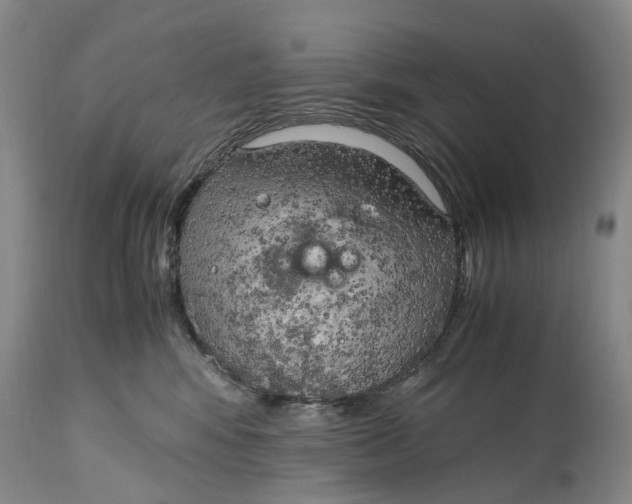 X0000115100424200911171245