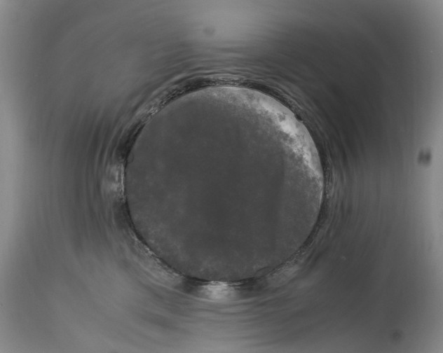 X0000115100425200911171245