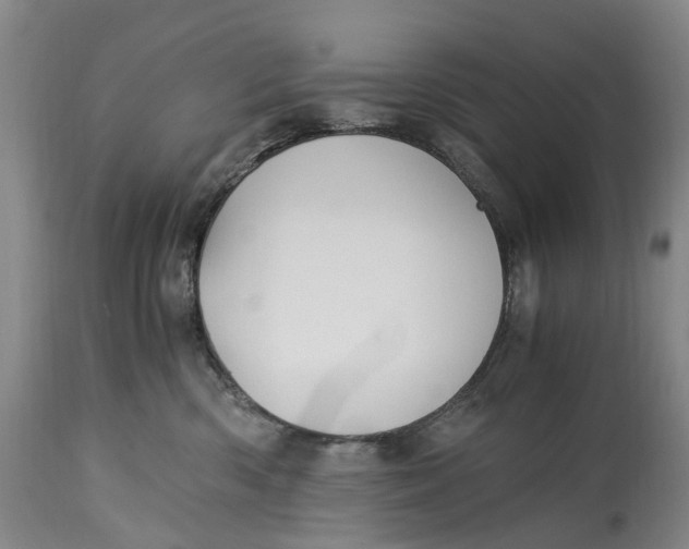 X0000115100426200911171245