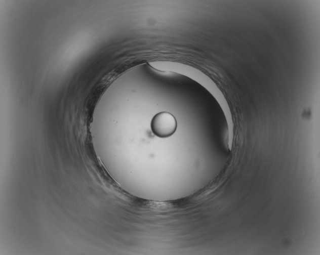 X0000115100429200911171245