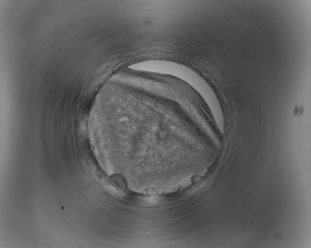 X0000115100432200911171245