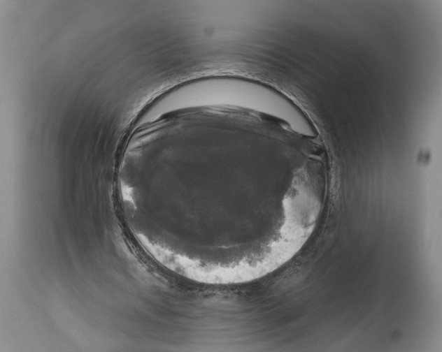 X0000115100434200911171244