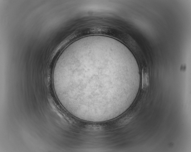 X0000115100435200911171244