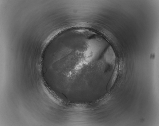 X0000115100436200911171244