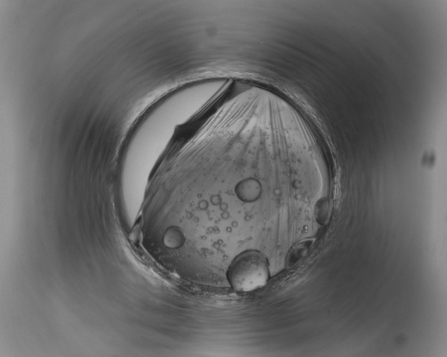 X0000115100438200911171244