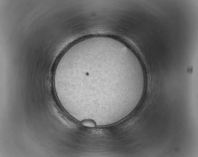 X0000115100439200911171244