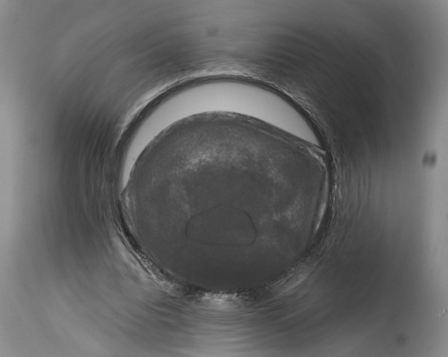 X0000115100440200911171244