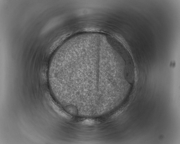 X0000115100441200911171244