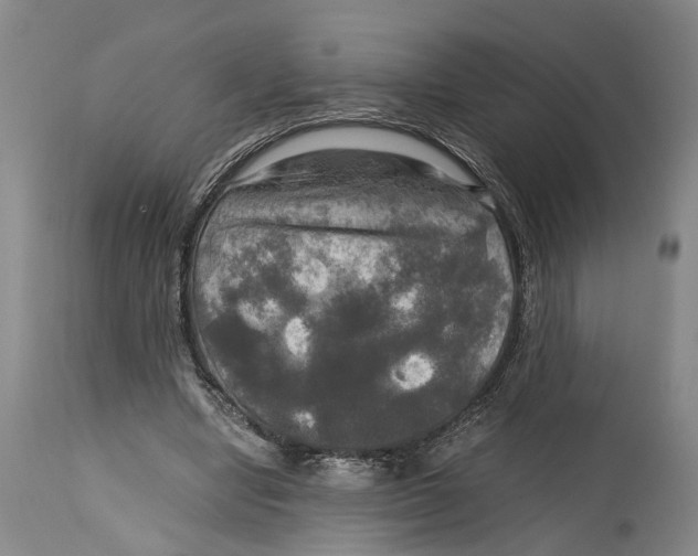 X0000115100442200911171244