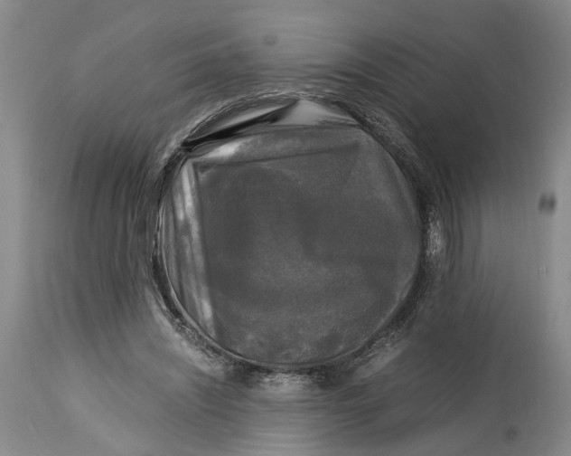 X0000115100444200911171244