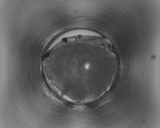 X0000115100446200911171244