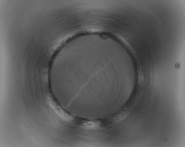 X0000115100447200911171244